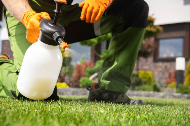 Best Rodent Control Near Me  in Manassas, VA